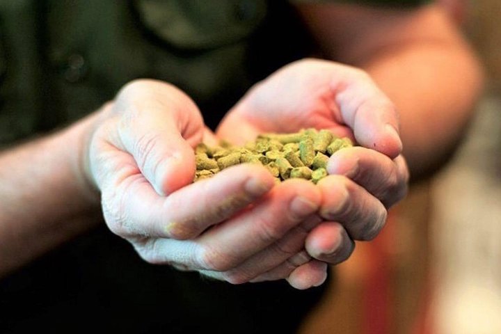 Shared 4 Hour Chattanooga Brewery Walking Tour With Beer Tastings - thumb 3