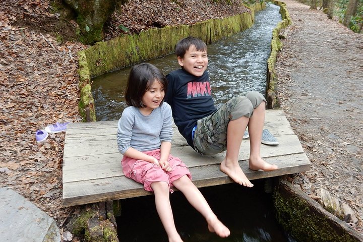 Explore A Simpler Time Smoky Mountain Tour - thumb 0