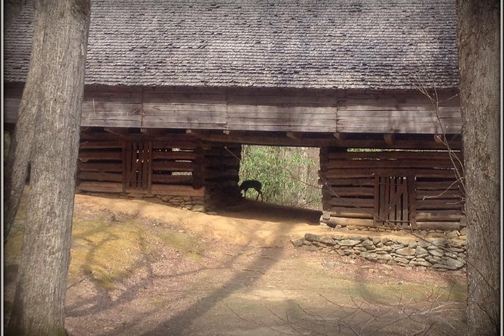 Explore A Simpler Time Smoky Mountain Tour - thumb 5