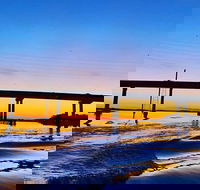 90 Minute Hilton Head Dolphin Tour - Students Accommodation