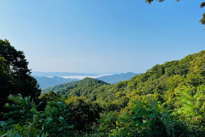 Smoky Mountains Newfound Gap Tour - thumb 1