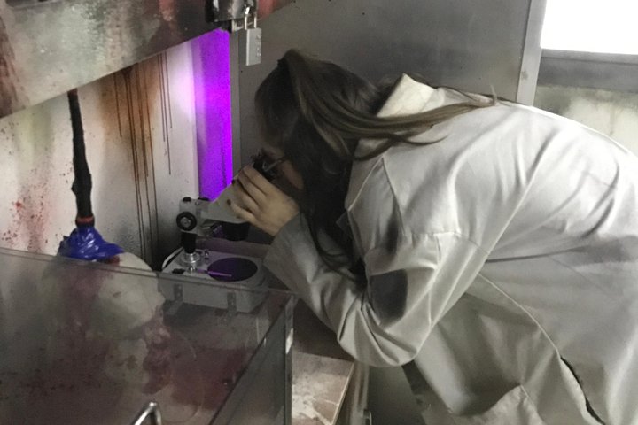 The Undead: Zombie Apocalypse Escape Room At Extreme Escape - thumb 2