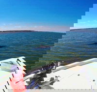 Private Hilton Head Dolphin Watching Tour with Waterfront Dining Stops - Students Accommodation