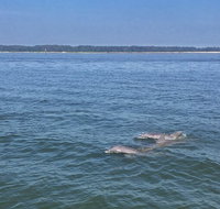 Hilton Head Island Dolphin Boat Cruise - China Accommodation