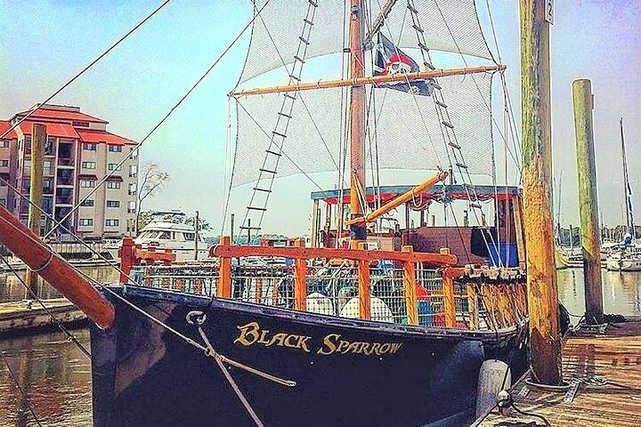 Pirate Ship Dolphin Tour - thumb 3