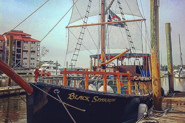 Pirate Ship Dolphin Tour - thumb 4