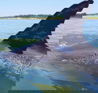 Hilton Head Jet Ski Adventure - Students Accommodation