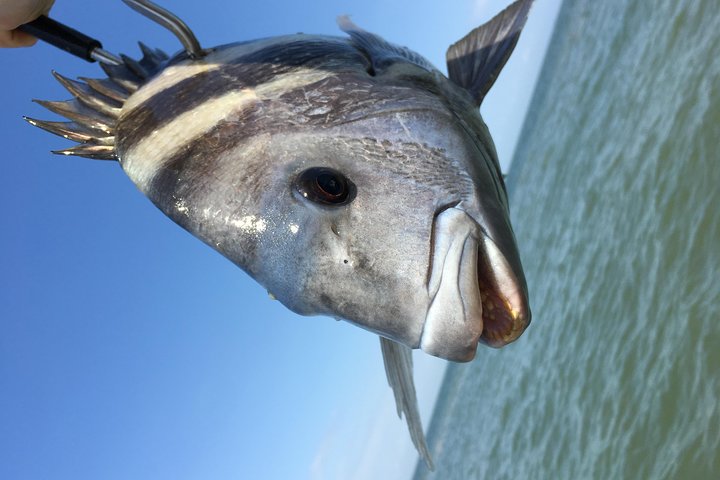 Half-Day Bay/Jetty Fishing - thumb 2