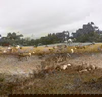 Private Badlands National Park Day Tour - Students Accommodation