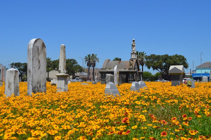 Galveston's Haunted Cemetery Walking Tour - thumb 0