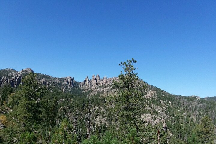 Bus Tour Of Mount Rushmore And The Black Hills - thumb 0