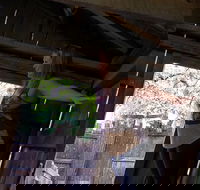 Cosmos Mystery Area Admission - Students Accommodation