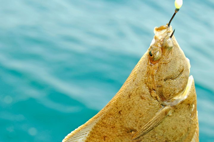 Ultimate Bay Fishing South Padre Island - thumb 2