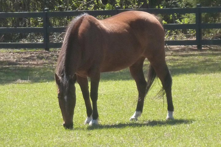 Coastal Discovery Museum 