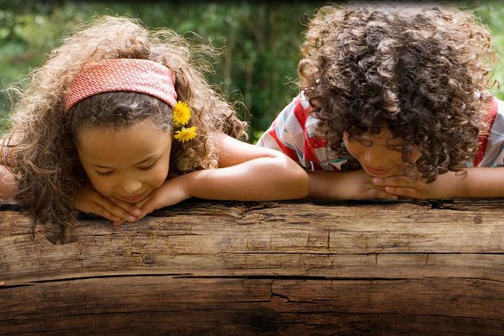 Coastal Discovery Museum 