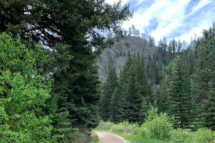 Private Mickelson Trail Bicycling Tour - thumb 0