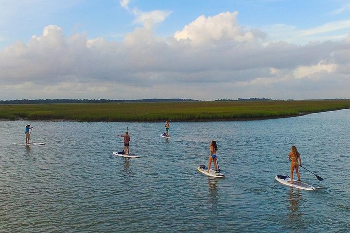 Charleston Stand-Up Paddleboard Eco Tour - thumb 2