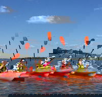 2-Hour Guided Kayak Nature Tour of Hilton Head - Students Accommodation