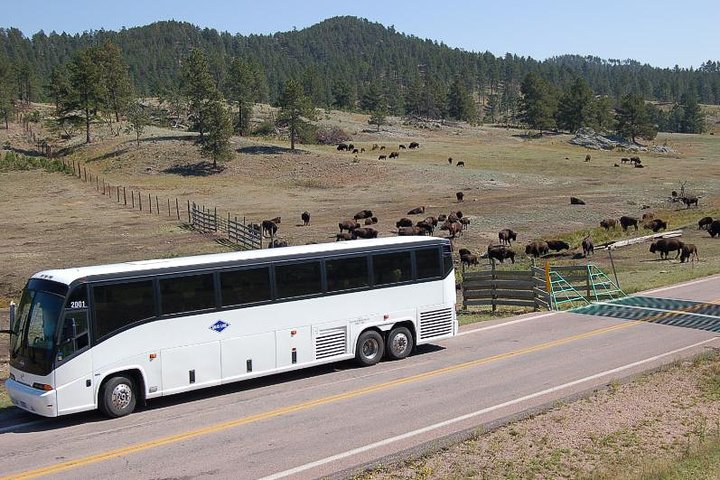 Mount Rushmore And Black Hills Bus Tour With Live Commentary - thumb 2