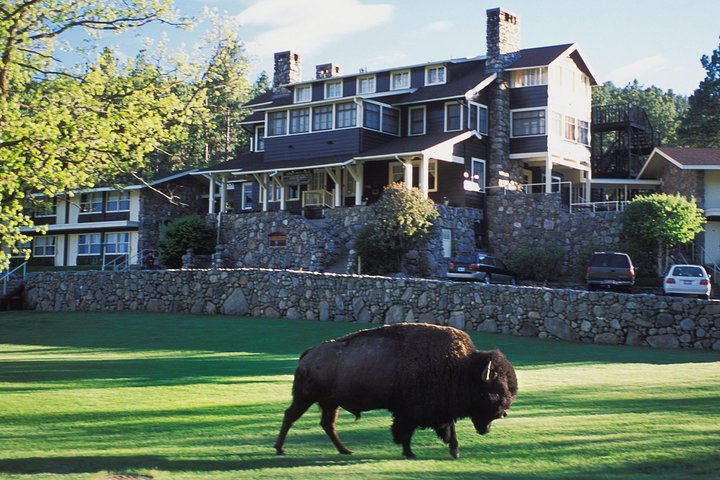 Mount Rushmore And Black Hills Bus Tour With Live Commentary - thumb 4