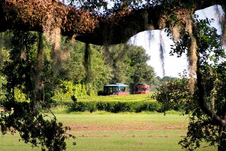 Private Transportation To & From Distilleries, Breweries & Wineries - thumb 0