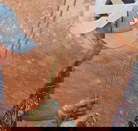 East Zion Experiences 4-Hour Slot Canyon Canyoneering UTV Tour - Tourism Bookings