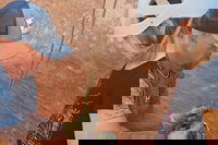 Zion National Park Ut Tourism Bookings