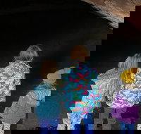 Great Chamber/Peekaboo Slot Canyon UTV Tour 4hrs - Tourism Bookings