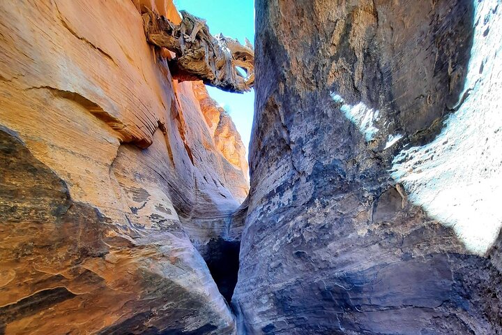 Full-Day Small-Group Backcountry Canyoneering Tour In Utah - thumb 0