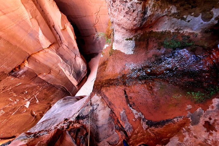 Full-Day Small-Group Backcountry Canyoneering Tour In Utah - thumb 1
