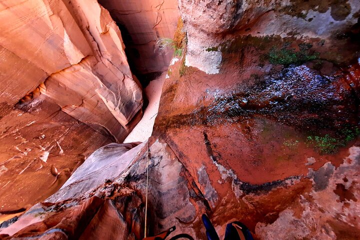 Full-Day Small-Group Backcountry Canyoneering Tour In Utah - thumb 3