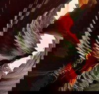 Small-Group Sunset UTV Slot Canyon and Smore Tour - Tourism Bookings