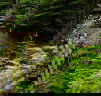 Sea Kayak and Mountain Bike Adventure near Olympic National Park - Students Accommodation