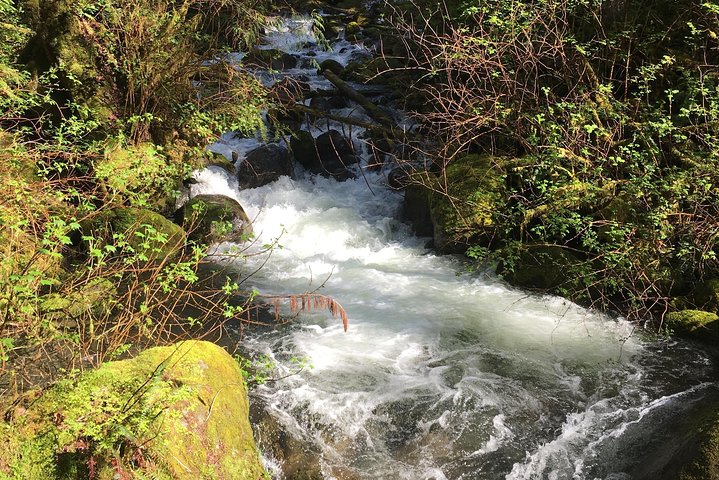 Waterfall Wonderland Hike With Transport - thumb 5