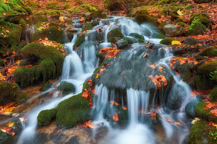 All-Inclusive, Autumn Weekend Tour For GROUPS Of 10-16 - thumb 0