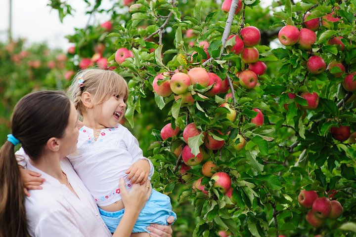 All-Inclusive, Autumn Weekend Tour For GROUPS Of 10-16 - thumb 1