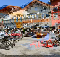 Small-Group Family-Friendly Private Cycling Sightseeing Tour - Students Accommodation