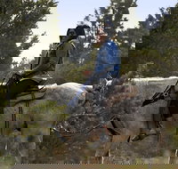 East Zion Twin Knoll Horseback Ride Experience - Tourism Bookings