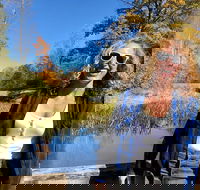 Scenic Guided Motorcycle Tours by MotoPlaN8 Handlebars - Tourism Bookings