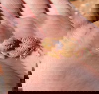 Zion Jeep Tour Premium Package - Morning Tour - Tourism Bookings