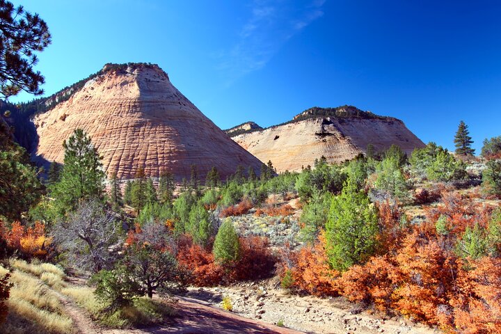 Ultimate Zion National Park Self-Driving Audio Tour - thumb 5