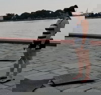 Norfolk Chronicles Walking History Tour - Tourism Bookings