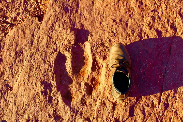 Half-Day Archaeology Adventure to Dinosaur Tracks in Utah
