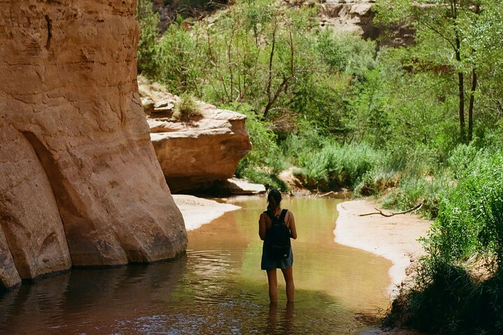 One Of A Kind Healthy Mind And Body Hike For Moderate Fitness Level - thumb 2