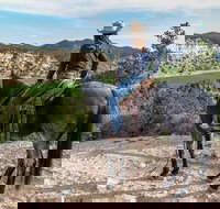 East Zion Resort Horse Trail Riding Tour - Tourism Bookings