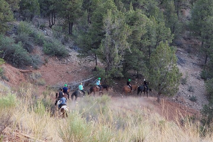 East Zion Horse Trail Riding - SUNSET & S'MORES TOUR - thumb 5