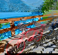 Electric Bike Rentals - Students Accommodation