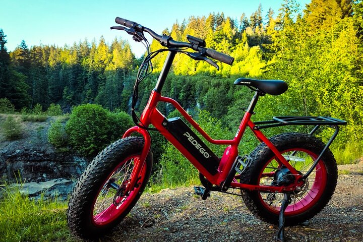 Electric Bike Rentals - thumb 1
