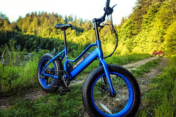Electric Bike Rentals - thumb 2