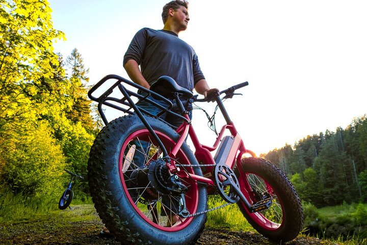 Electric Bike Rentals - thumb 3